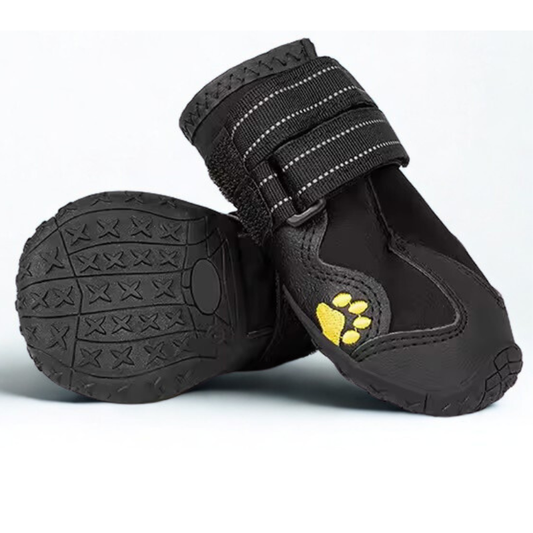 Chaussures de Protection pour Chien