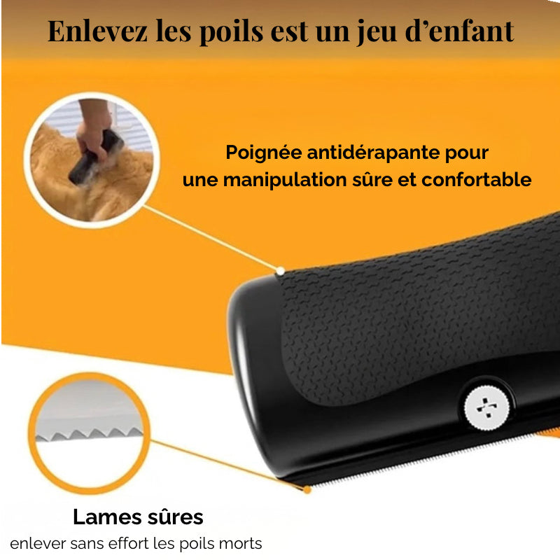 Brosse professionnelle