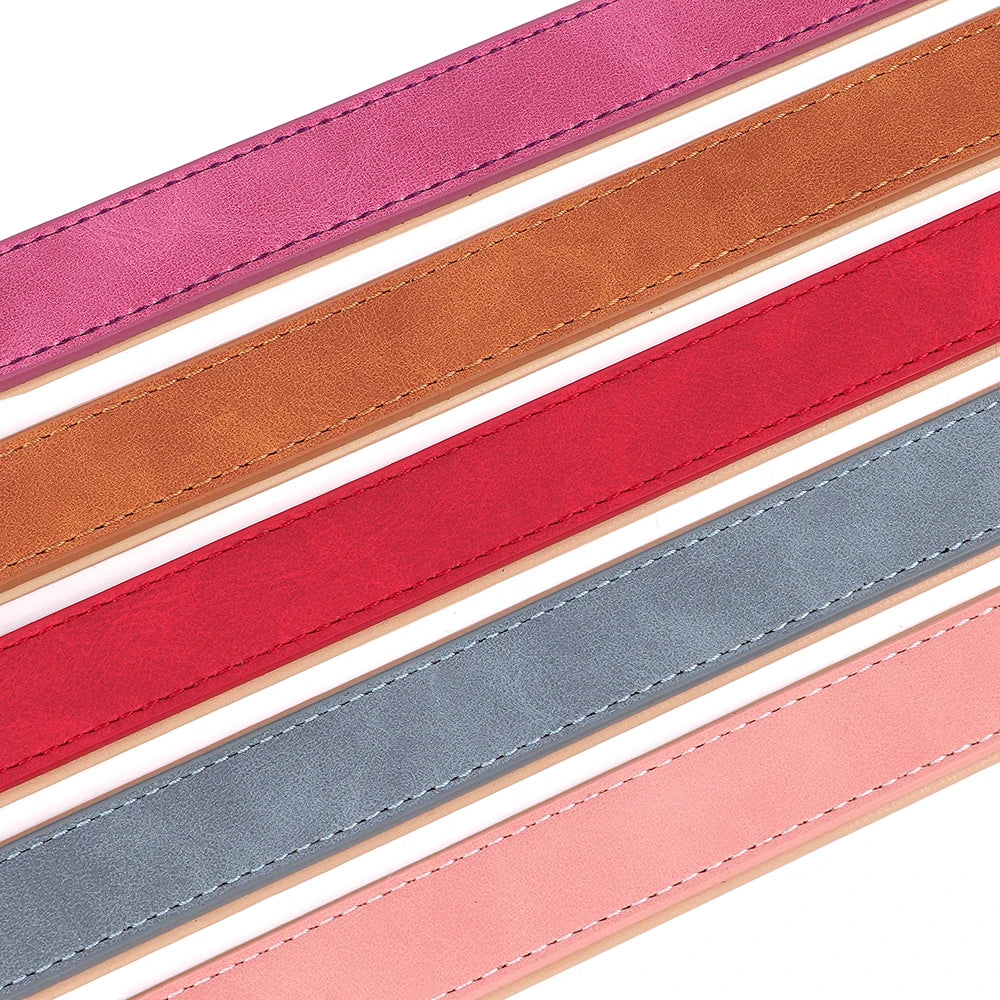 Ensemble collier et laisse rembourrés