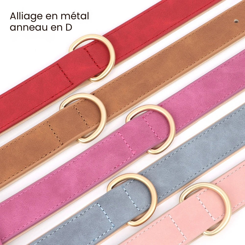 Ensemble collier et laisse rembourrés