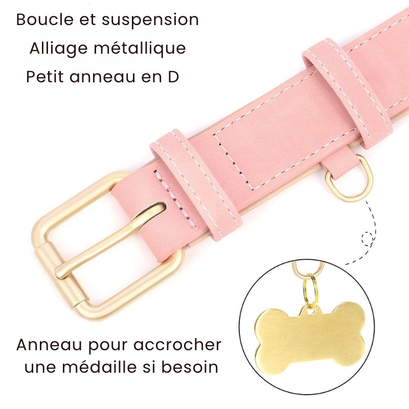 Ensemble collier et laisse rembourrés