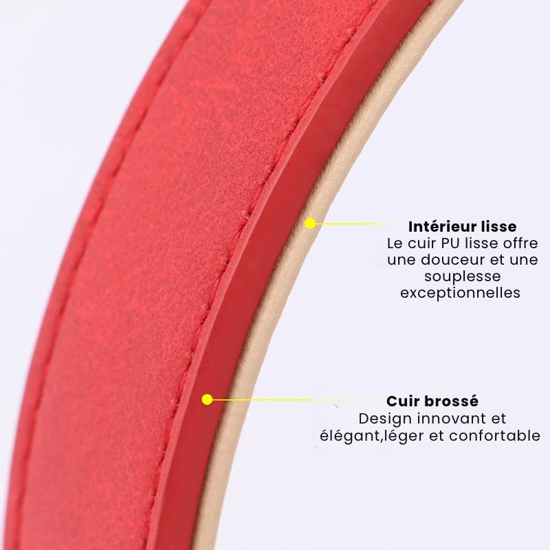 Ensemble collier et laisse rembourrés