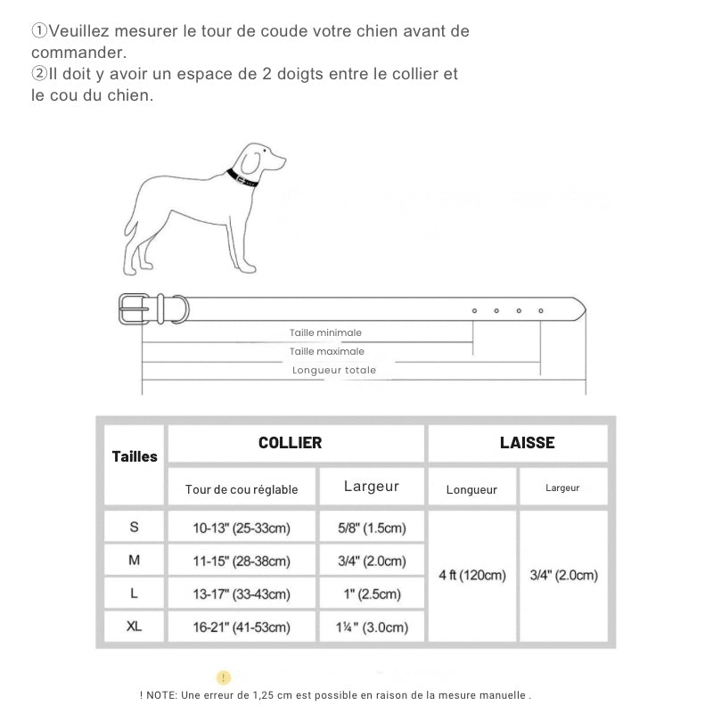 Ensemble collier et laisse rembourrés