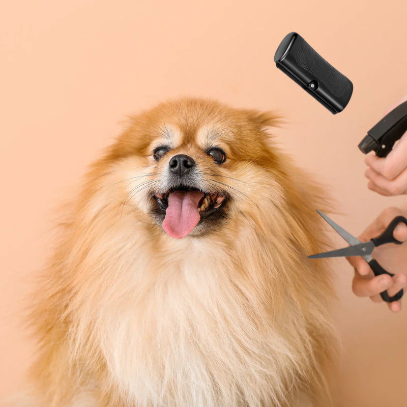 Brosse professionnelle