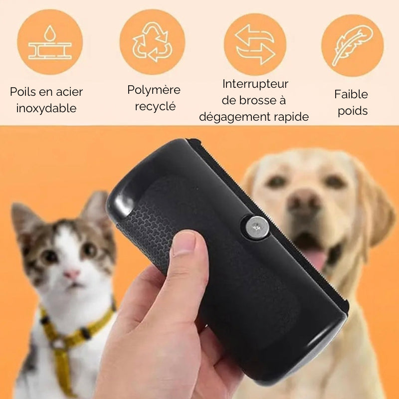 Brosse professionnelle