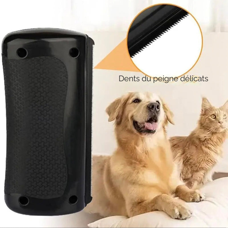 Brosse professionnelle