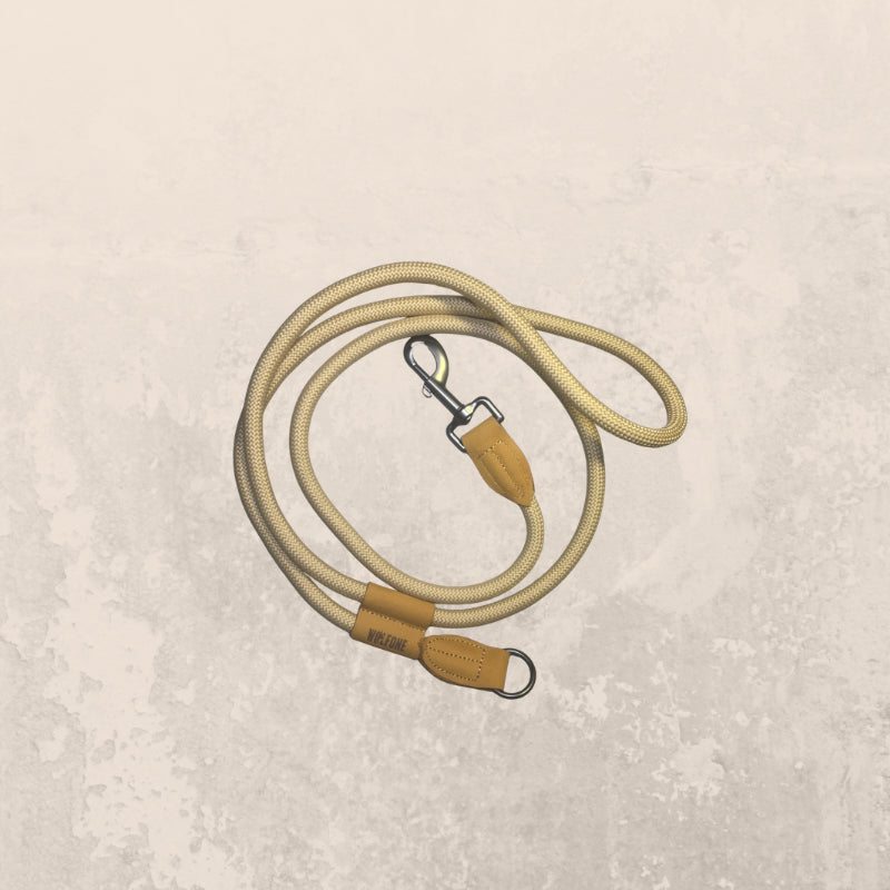 Laisse  multifonctions