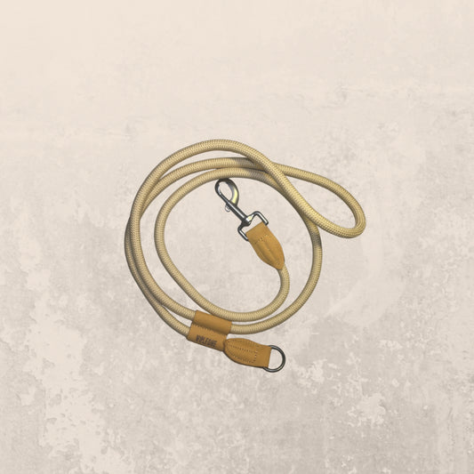 Laisse  multifonctions