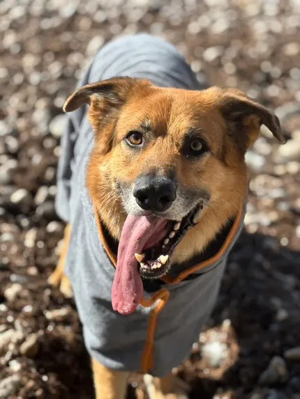 Le Peignoir Kyky - microfibre ,séchage rapide ,coupe ajustée