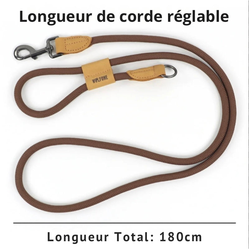 Laisse  multifonctions