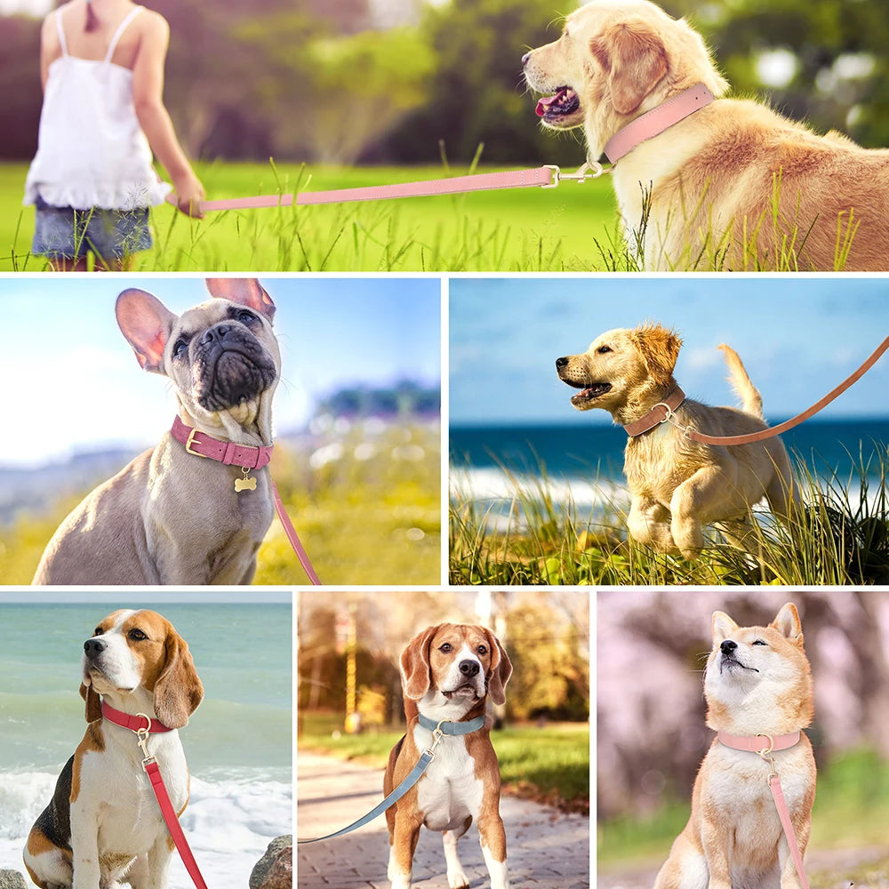 Ensemble collier et laisse rembourrés