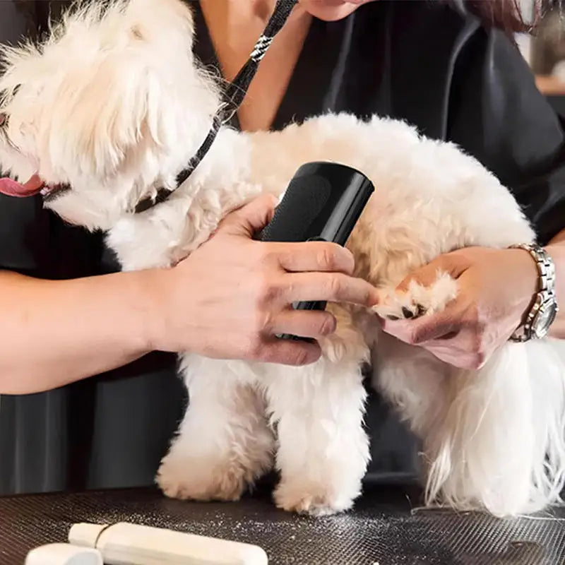 Brosse professionnelle