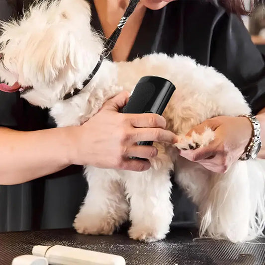 Brosse professionnelle